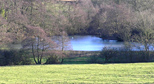 Fishpond on the Manor's estate, 2008, Thorpe Mandeville